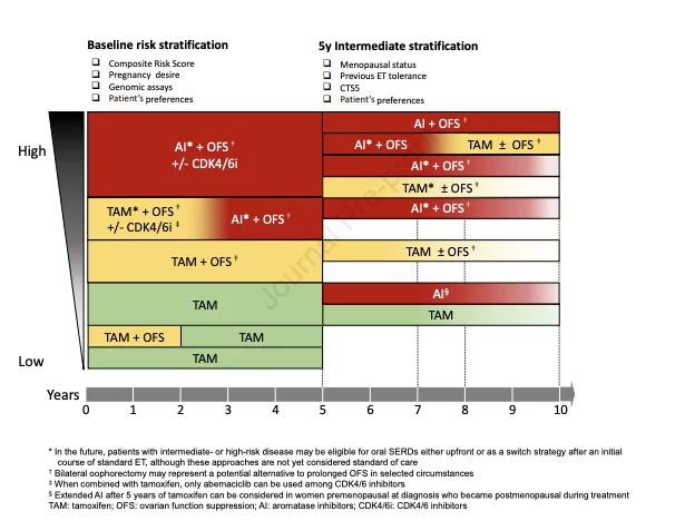 Premenopausal HR+/HER2− Early Breast Cancer: Where Evidence Still Falls Short in Adjuvant Care 5 Breast Cancer