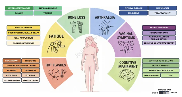 Premenopausal HR+/HER2− Early Breast Cancer: Where Evidence Still Falls Short in Adjuvant Care 6 Breast Cancer