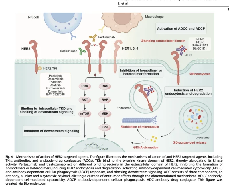NSCLC