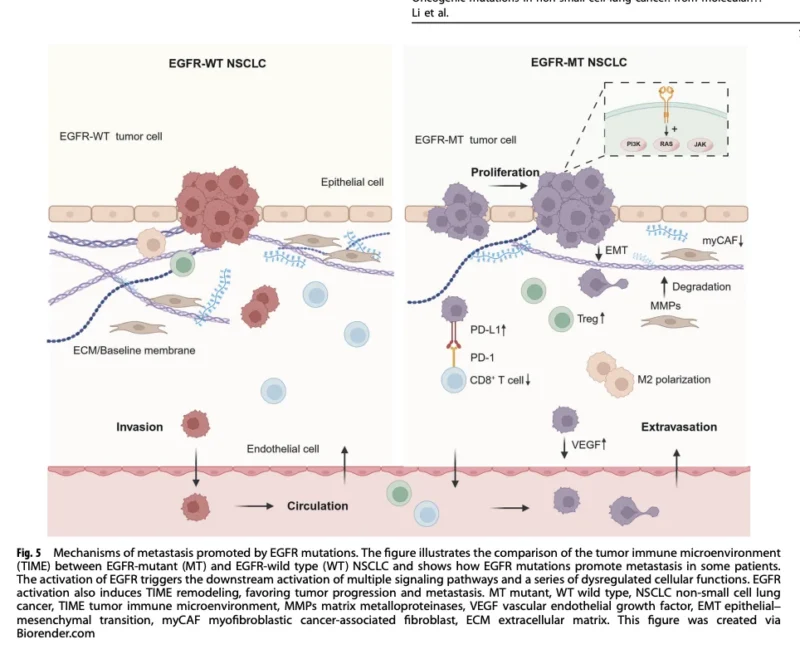 NSCLC