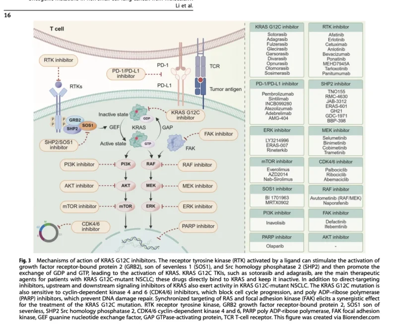 NSCLC