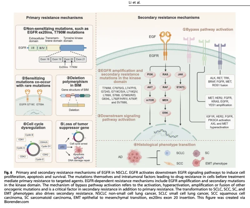 NSCLC