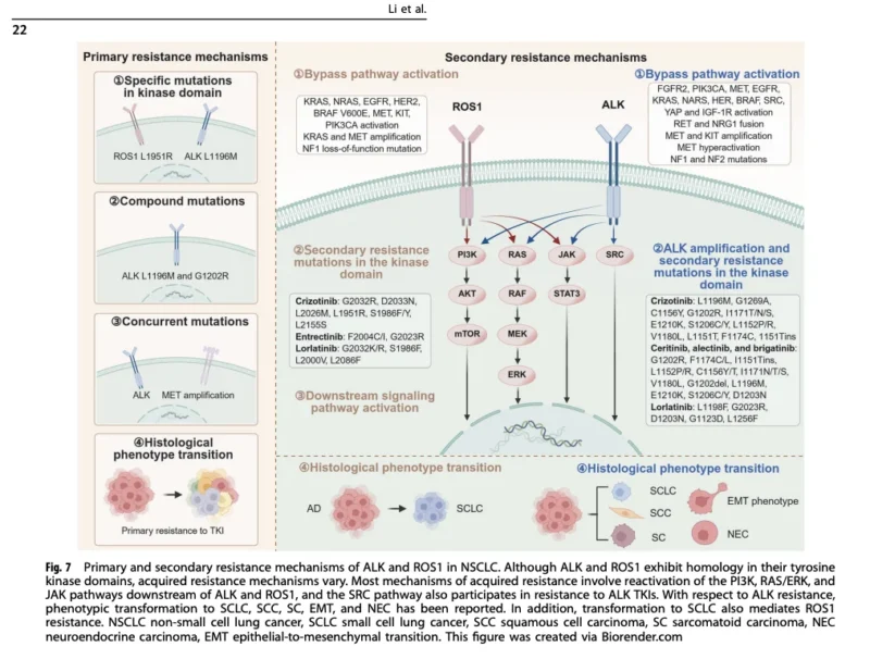 NSCLC