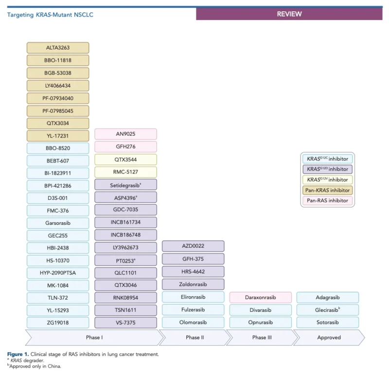KRAS Mutant NSCLC in 2026: From G12C Inhibition to RAS(ON), Pan-RAS and Combination Strategies 2 KRAS