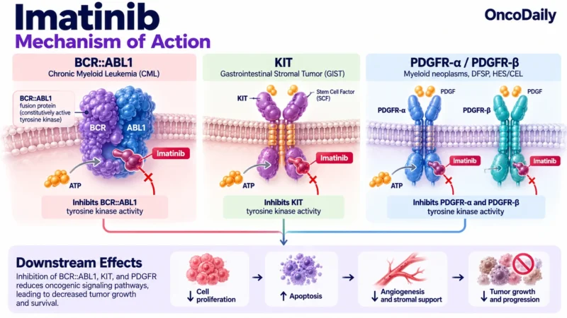 Imatinib OncoDaily