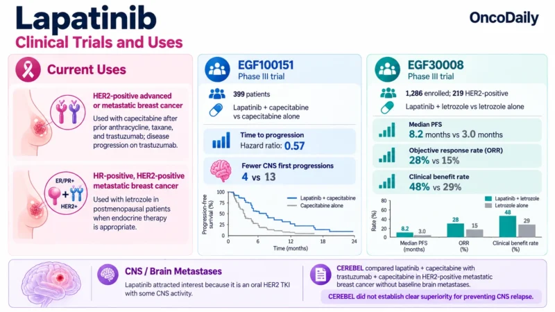 Lapatinib (Tykerb): Understanding Its Mechanism, Dosing, Clinical Uses, and Role in HER2-Positive Breast Cancer 3 Lapatinib OncoDaily
