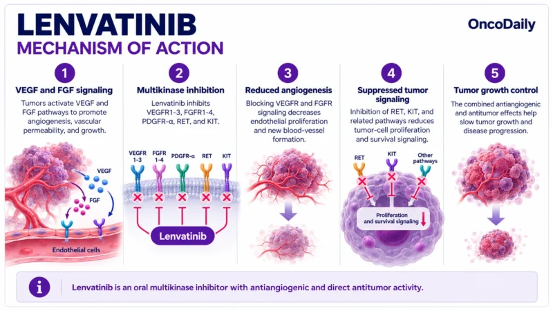 Lenvatinib (Lenvima): Understanding Its Mechanism, Dosing, Clinical Uses, and Role in Thyroid Cancer, RCC, HCC, and Endometrial Cancer 1 Lenvatinib OncoDaily