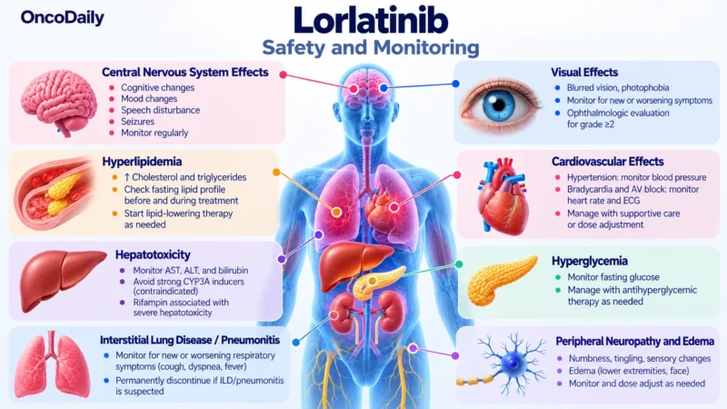 Lorlatinib(Lorbrena): Understanding Its Mechanism, Dosing, Clinical Uses, and Role in ALK-Positive Lung Cancer 12 Lorlatinib OncoDaily