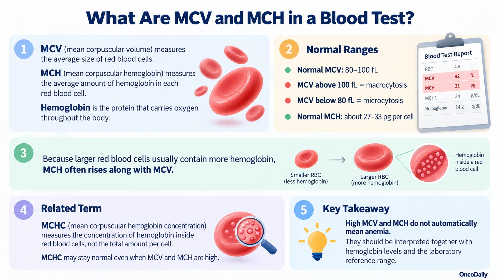 High MCV and MCH and Cancer: Do Elevated Blood Test Levels Mean Cancer?