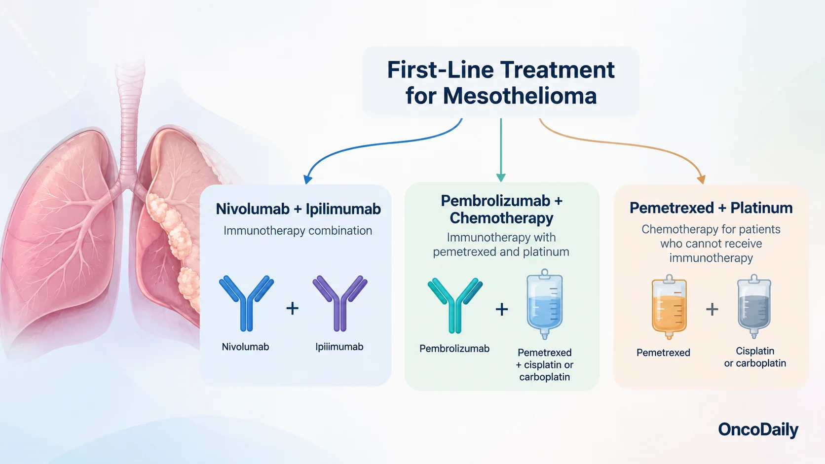 Chemotherapy for Mesothelioma: Drugs, Regimens, Success Rates, and Side ...