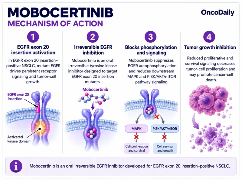 Mobocertinib (Exkivity): Understanding Its Mechanism, Dosing, Clinical Development, and Role in EGFR Exon 20 Insertion–Positive Lung Cancer 9 Mobocertinib OncoDaily