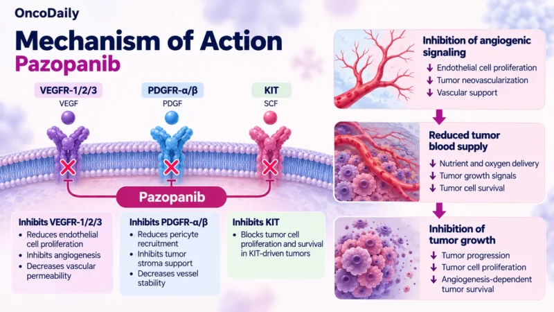 Pazopanib: Understanding Its Mechanism, Dosing, Clinical Uses, and Role in Renal Cell Carcinoma and Soft Tissue Sarcoma 1 Pazopanib OncoDaily