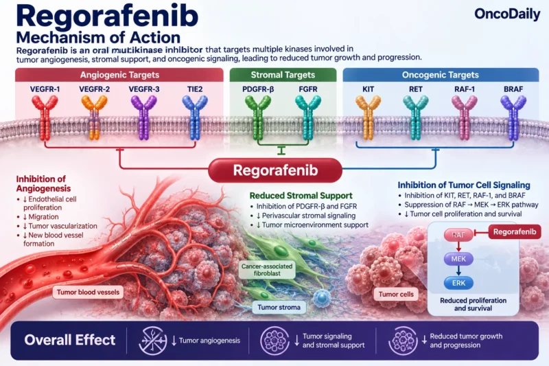 Regorafenib (Stivarga): Understanding Its Mechanism, Dosing, Clinical Uses, and Role in Colorectal Cancer, GIST, and Hepatocellular Carcinoma 1 Regorafenib OncoDaily