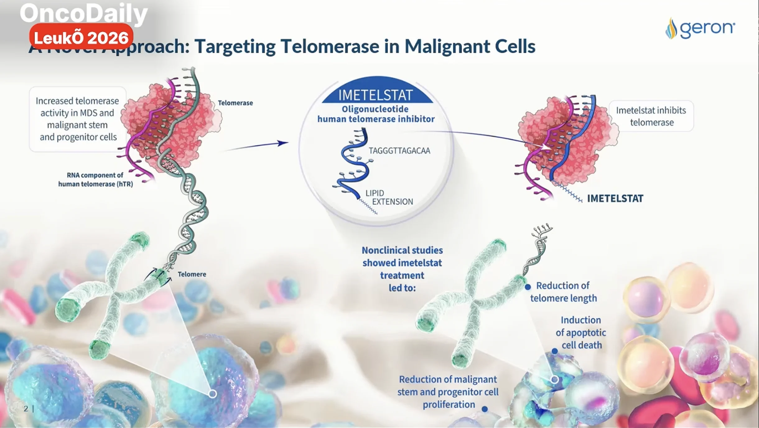 Joseph Eid at LeukO 2026: The Decades-Long Journey Behind the First Approved Telomerase Inhibitor 2 Joseph Eid