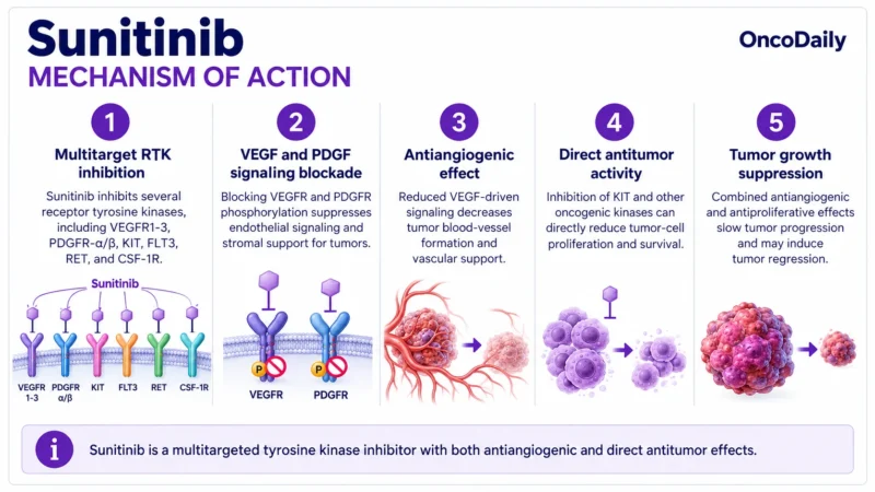 Sunitinib (Sutent): Understanding Its Mechanism, Dosing, Clinical Uses, and Role in RCC, GIST, and Pancreatic Neuroendocrine Tumors 1 Sunitib OncoDaily