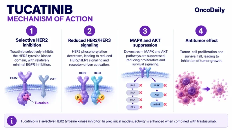 Tucatinib (Tukysa): Understanding Its Mechanism, Dosing, Clinical Uses, and Role in HER2-Positive Breast Cancer and Colorectal Cancer 1 Tucatinib OncoDaily