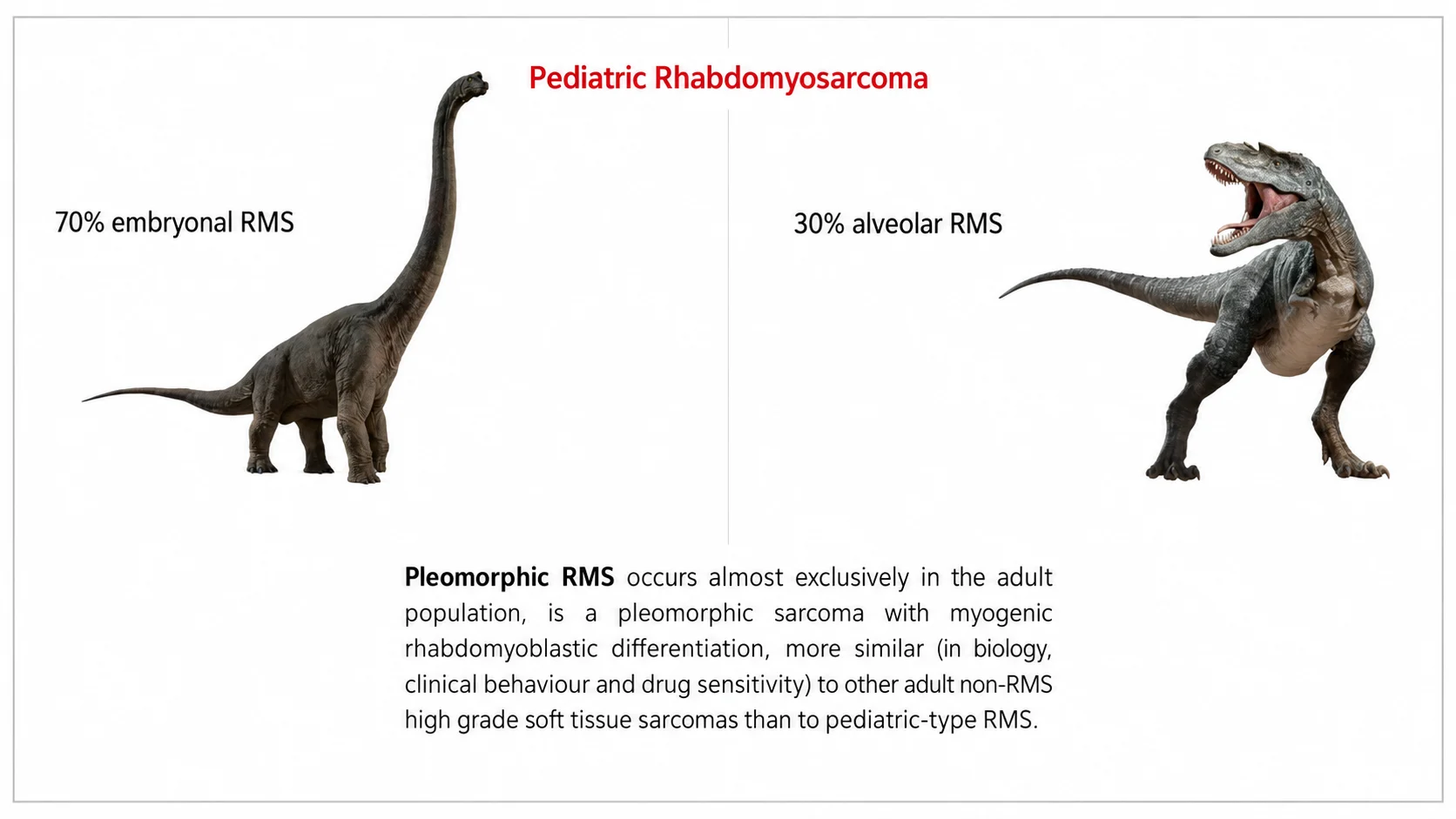 Andrea Ferrari: The Rhabdomyosarcoma Paradox - Better Treatment, Persistent Survival Gaps 3 Andrea Ferrari