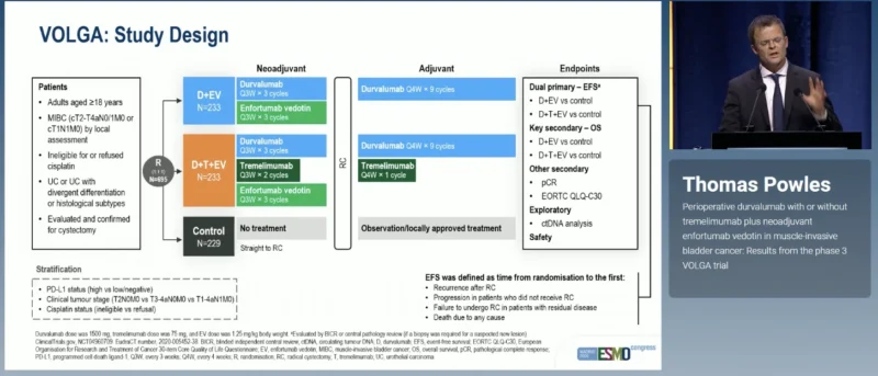 VOLGA at ESMO 2026: Perioperative Durvalumab With or Without Tremelimumab Plus Enfortumab Vedotin in MIBC 2 VOLGA design
