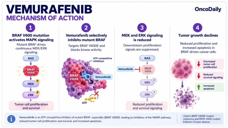 Vemurafenib OncoDaily
