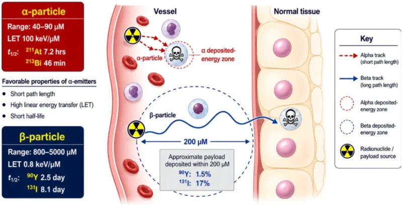 Radioimmunotherapy (RIT) in AML Transplant Conditioning: Can Radiation Be Targeted to Leukemia?