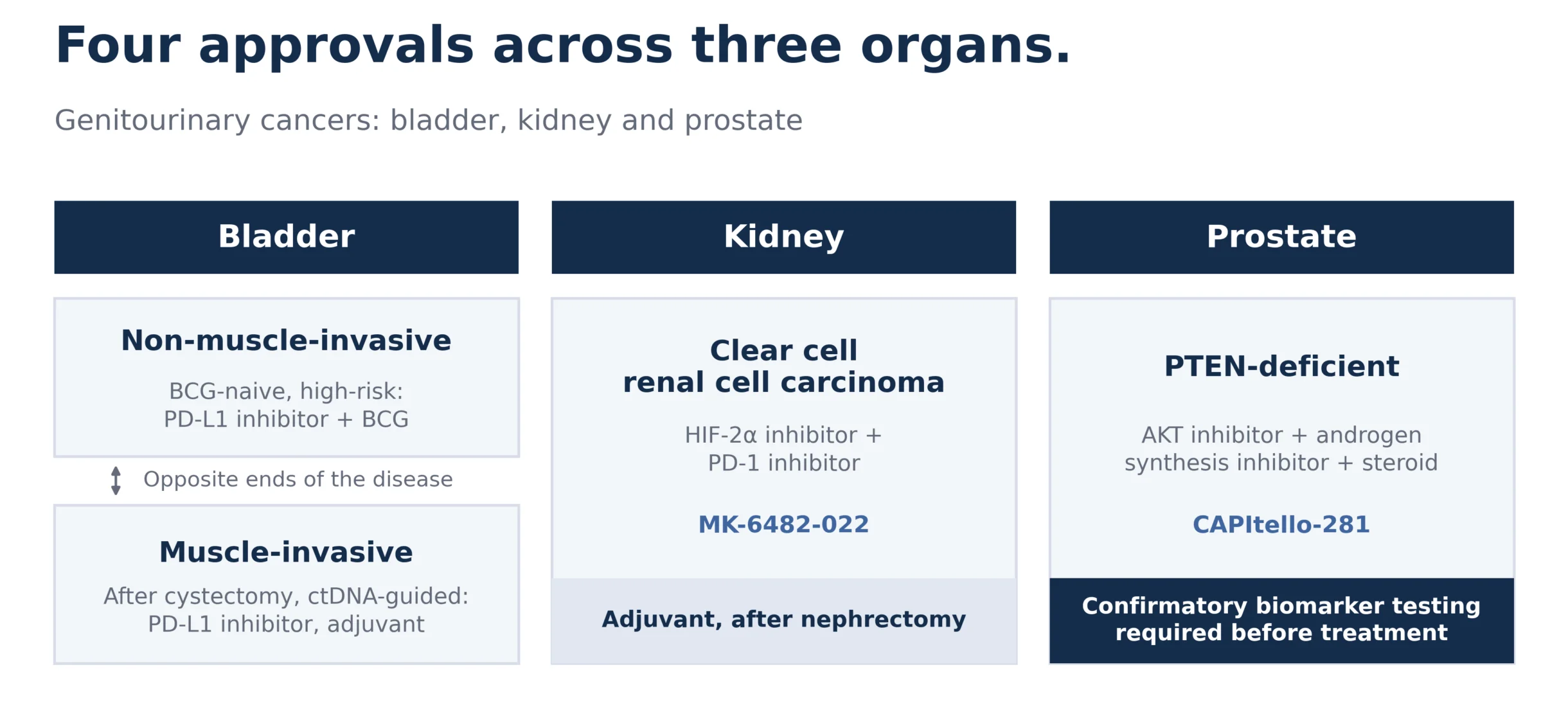 Who Shaped Oncology in the First Half of 2026: Breaking Down Approvals by Indications 8 BIGR chart