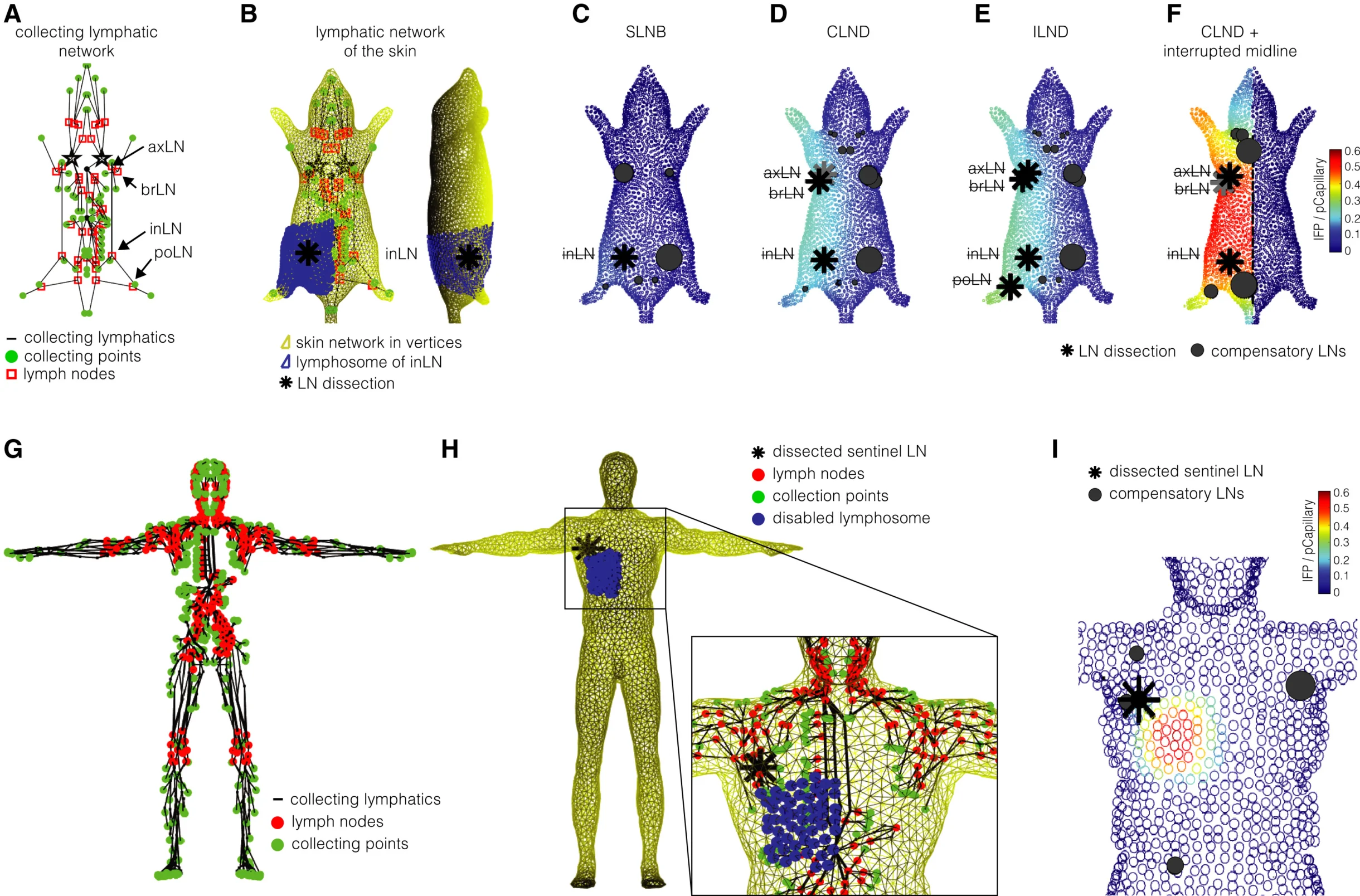 Can Distant Lymph Nodes Sustain Immunotherapy After Lymph-Node Surgery? 3 Can Distant Lymph Nodes Sustain Immunotherapy After Lymph-Node Surgery?
