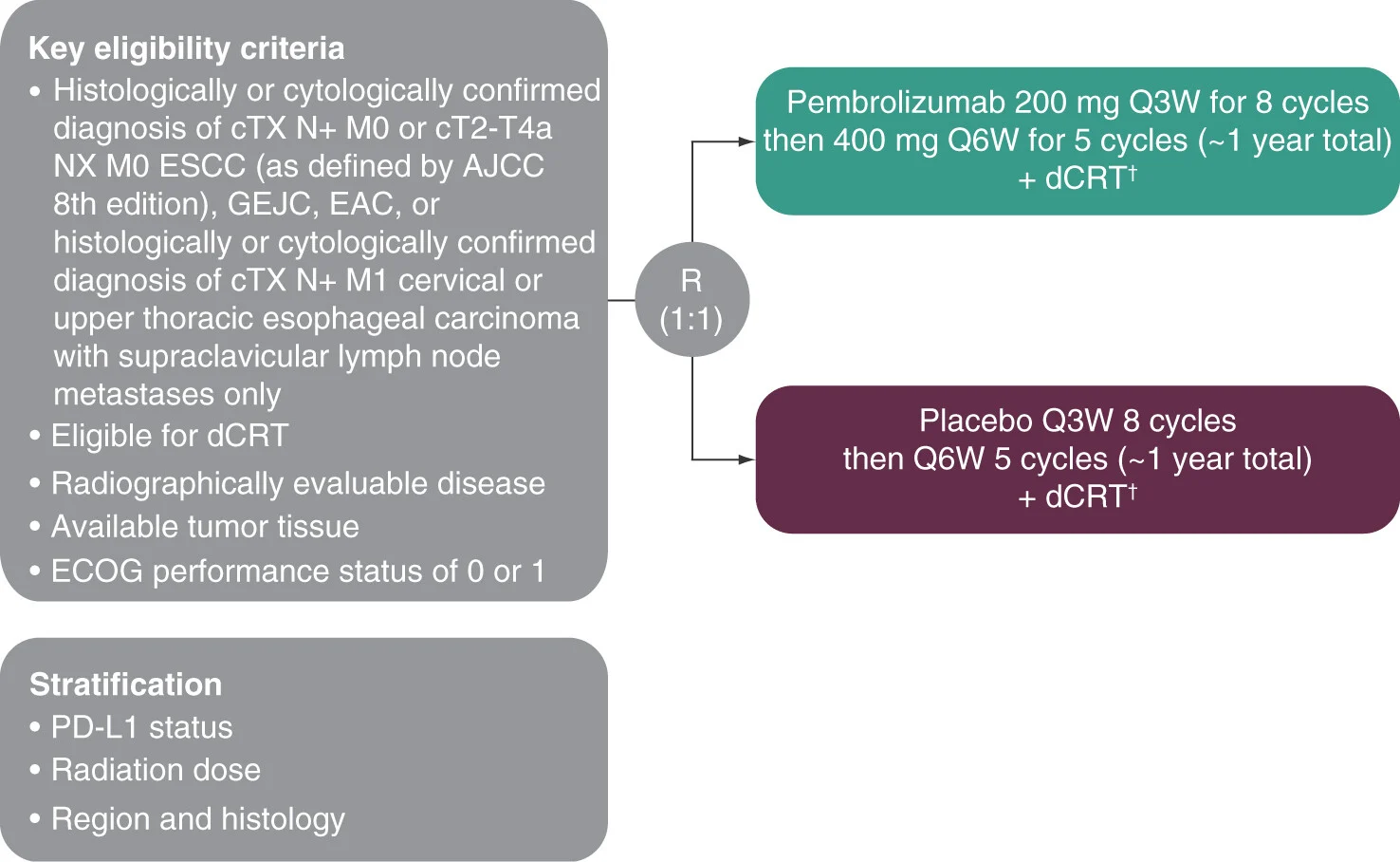ESMO 2026: 5 Phase III Immunotherapy Trials to Watch 3 ESMO 2026: 5 Phase III Immunotherapy Trials to Watch
