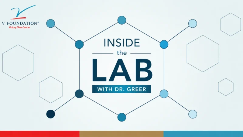 Susanna Fletcher Greer: New Research Aiming to Restore the Immune Response in Melanoma 2 Susanna Fletcher Greer: New Research Aiming to Restore the Immune Response in Melanoma