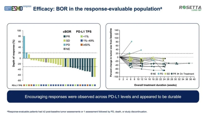 ROSETTA Lung-107: Pumitamig Plus Docetaxel Shows Early Activity After Chemoimmunotherapy in Metastatic NSCLC 4 ROSETTA Lung-107