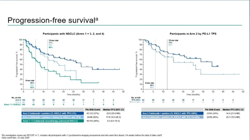 KANDLELIT-001: Calderasib Shows Strong First-Line Activity in KRAS G12C-Mutant NSCLC 4 KANDLELIT-001
