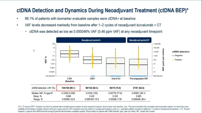 MDT-BRIDGE: Early ctDNA Clearance Predicts Pathological Response and Favorable Outcomes in Stage II–III NSCLC 3 MDT-BRIDGE